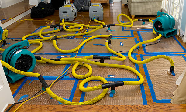 Professional Crawl Space Water Removal technician working in Waukee, IA